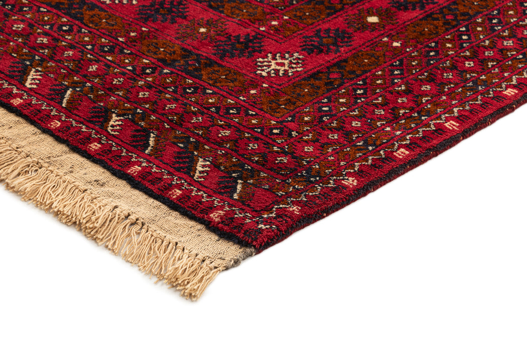 Afghan Mauri