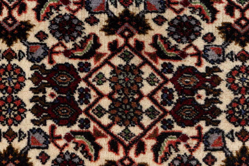 237 x 180 Bidjar