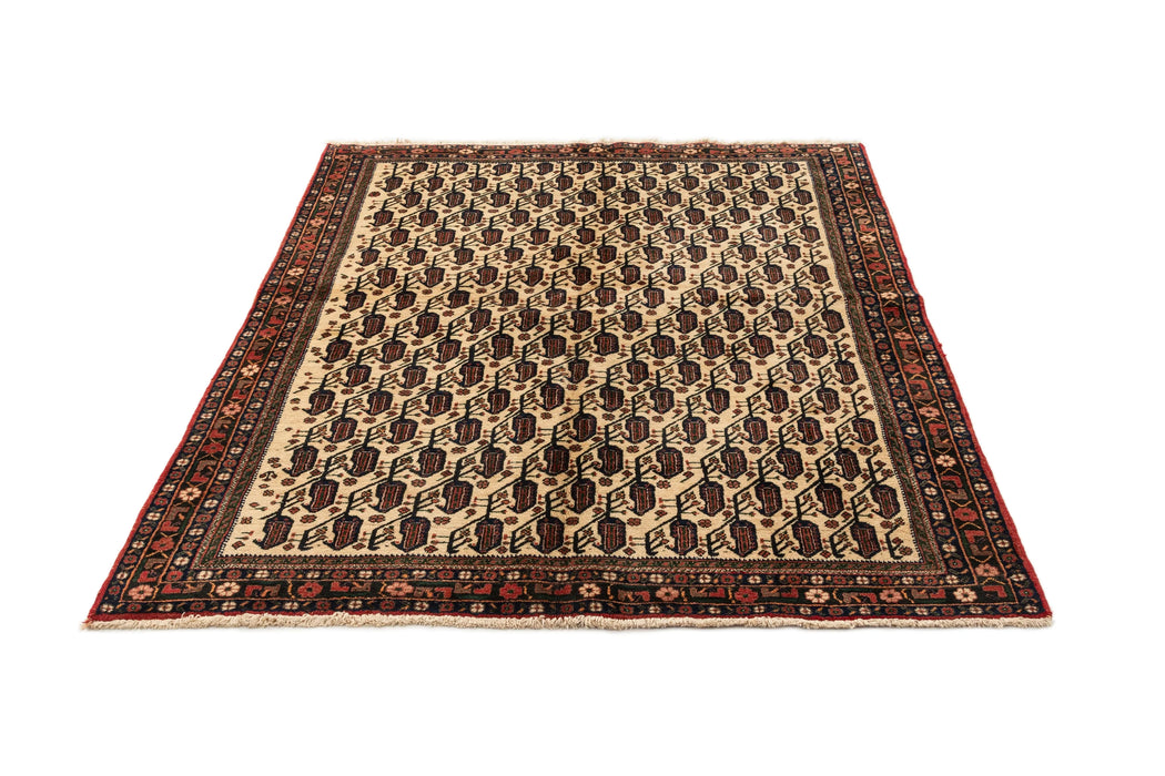 214 x 168 Afshar