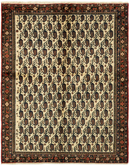 214 x 168 Afshar