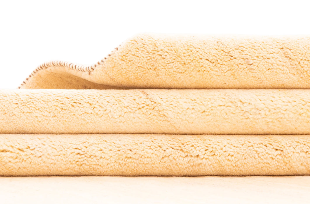 344 x 249 Schekarlou