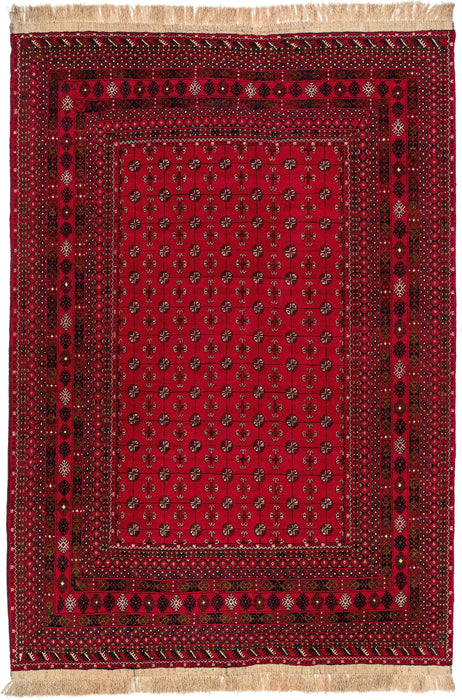 Afghan Mauri